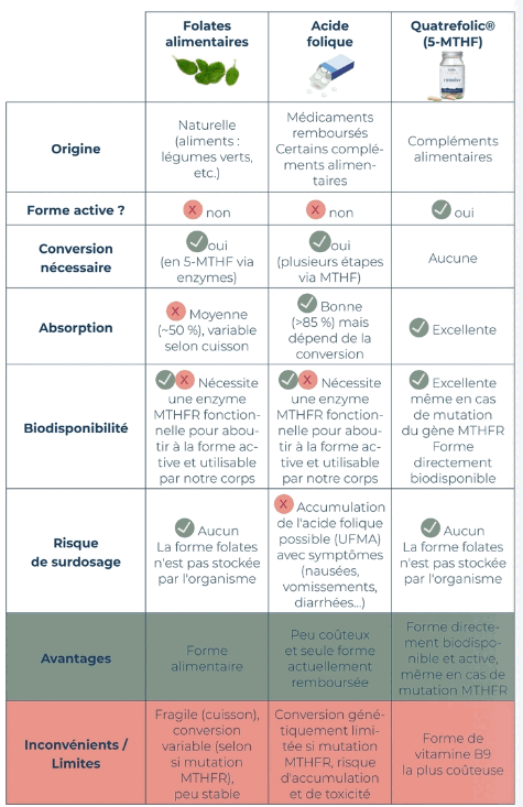 Tableau comparatif des trois formes de vitamine B9 (folates alimentaires, acide folique, Quatrefolic®) : origine, forme active, conversion, absorption, biodisponibilité, risque de surdosage, avantages et limites